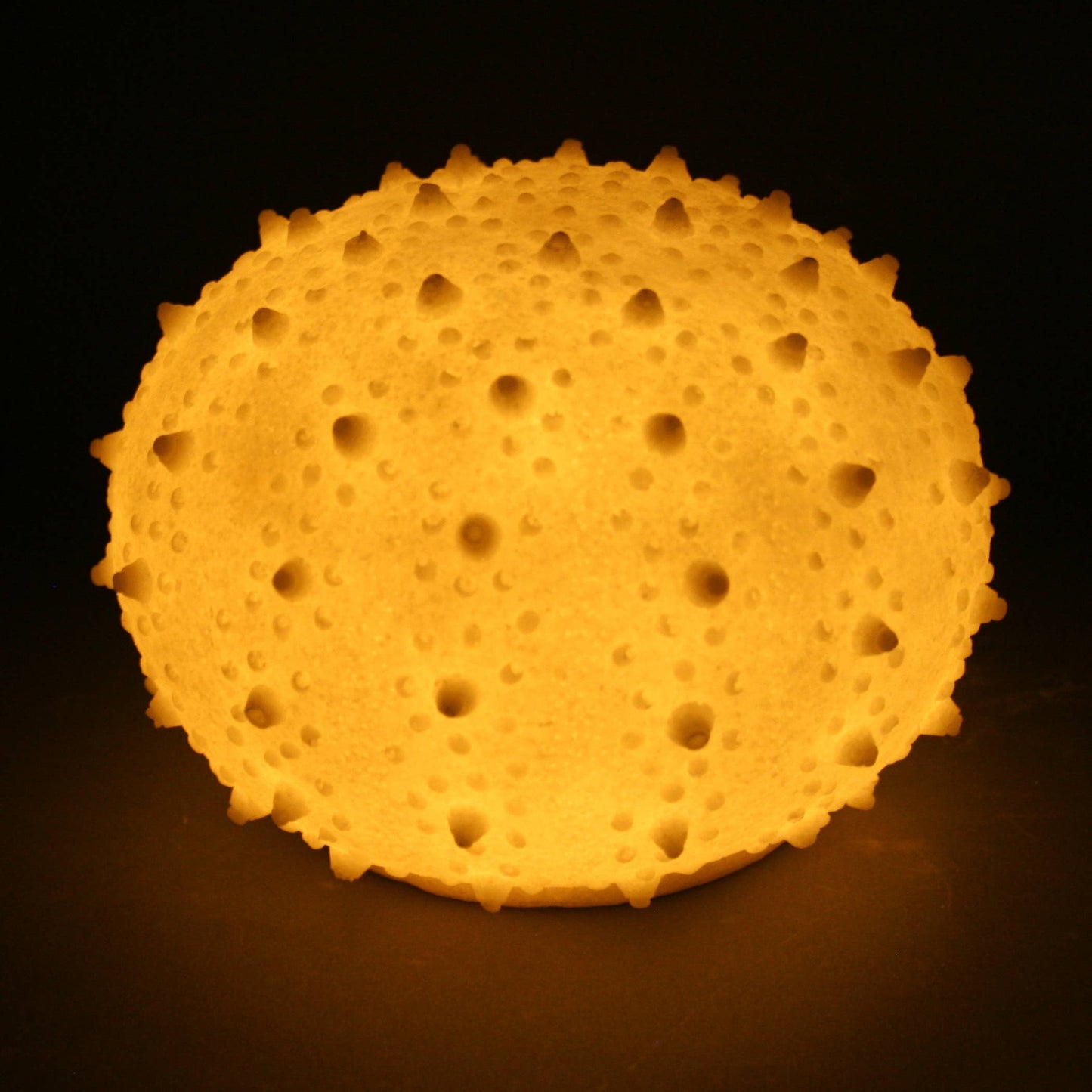 Medium Sea Urchin Light (7 inches)