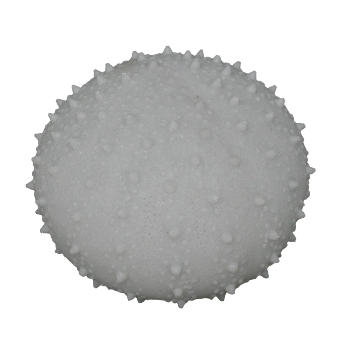 Medium Sea Urchin Light (7 inches)
