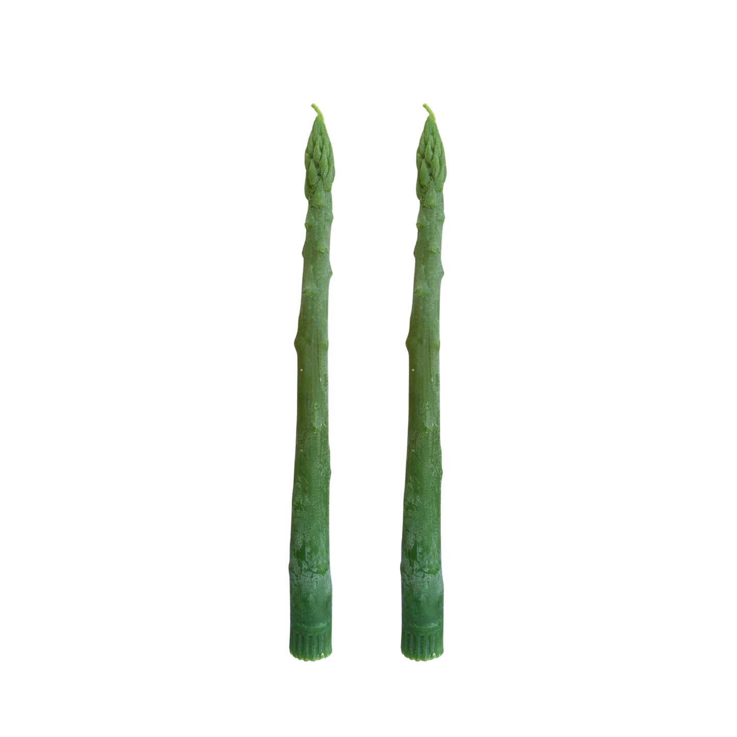 Asparagus Taper Candle Pair