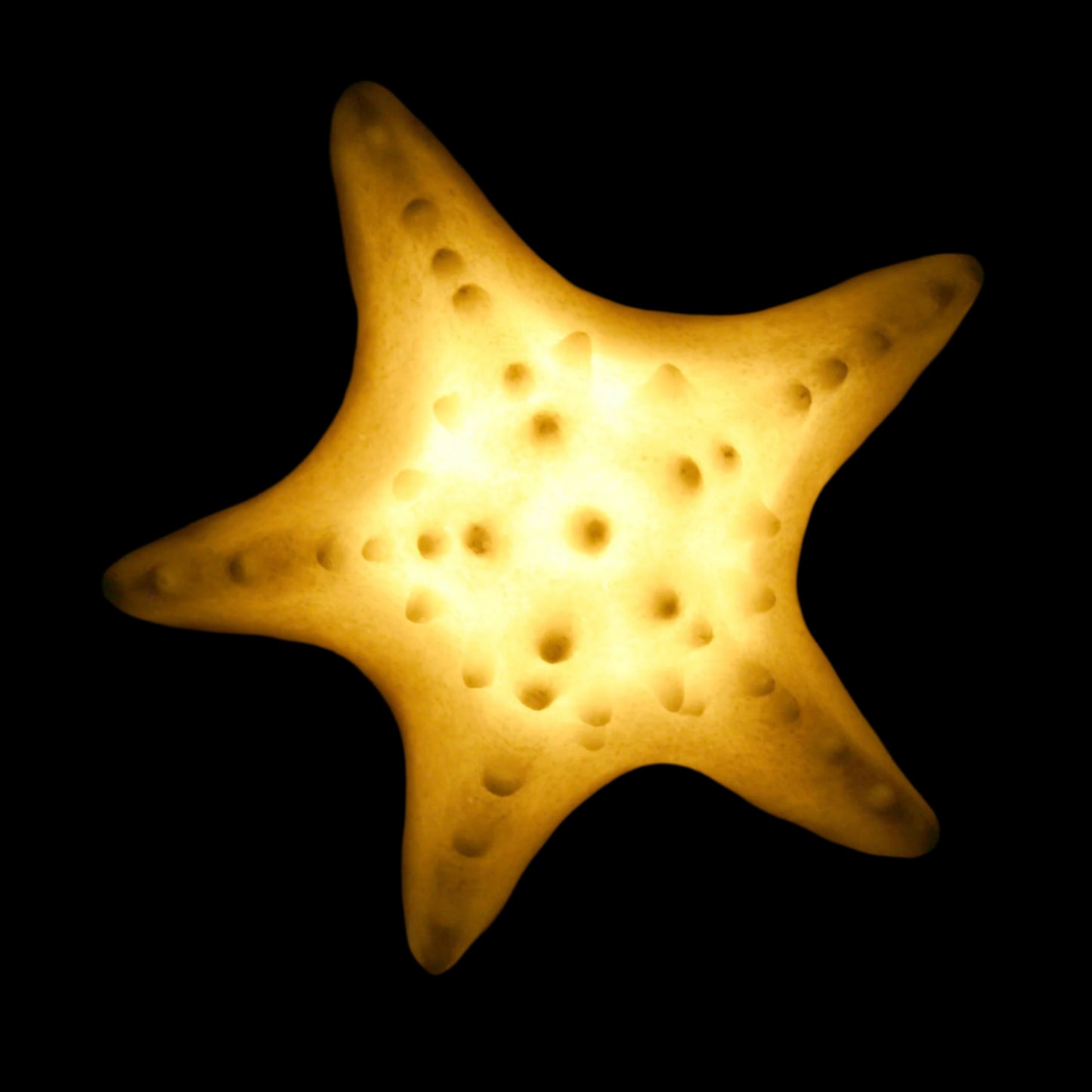 Starfish Light (7 inches)