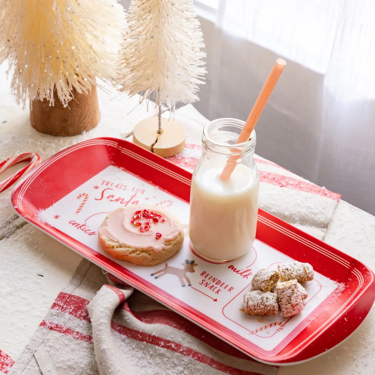 Cookies for Santa Tray