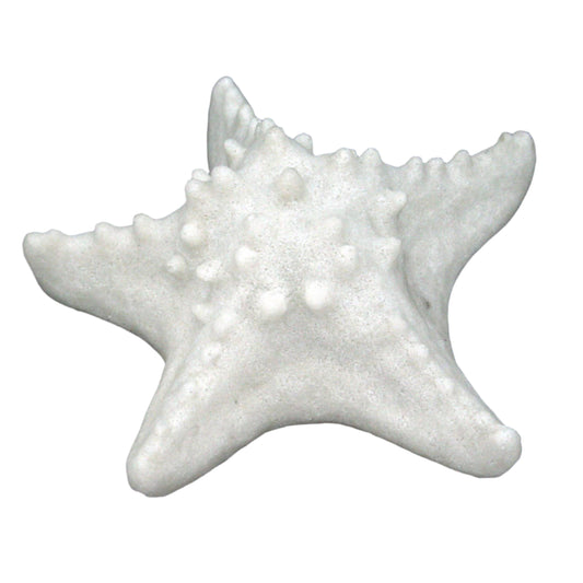 Starfish Light (7 inches)