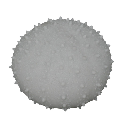 Medium Sea Urchin Light (7 inches)