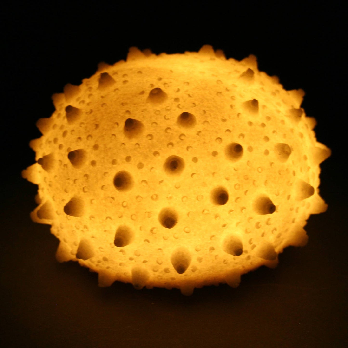 Small Sea Urchin Light (5 inches)