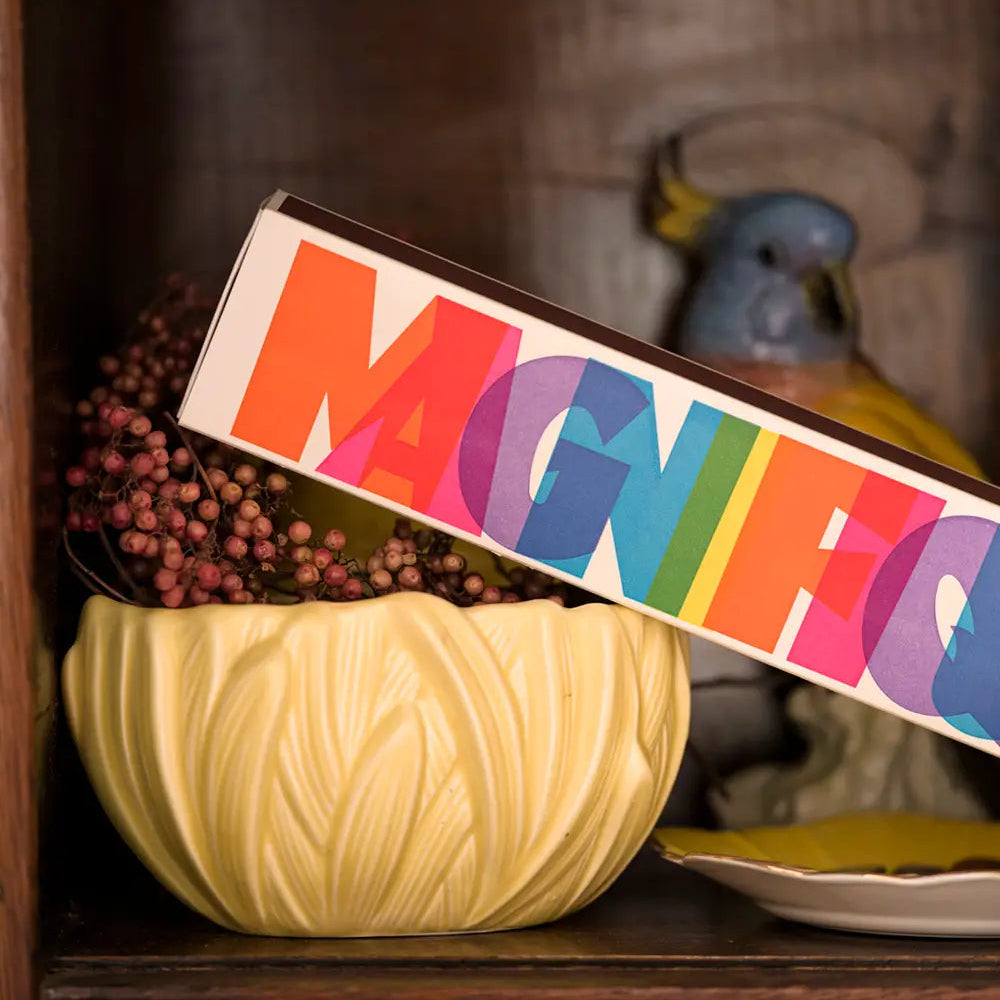 A vintage-style ceramic bowl in a pale yellow tone with a leaf-like embossed pattern, holding a bundle of dark berries, with a colorful rectangular sign reading 'MAGNIFICO' leaning across it on a wooden shelf.