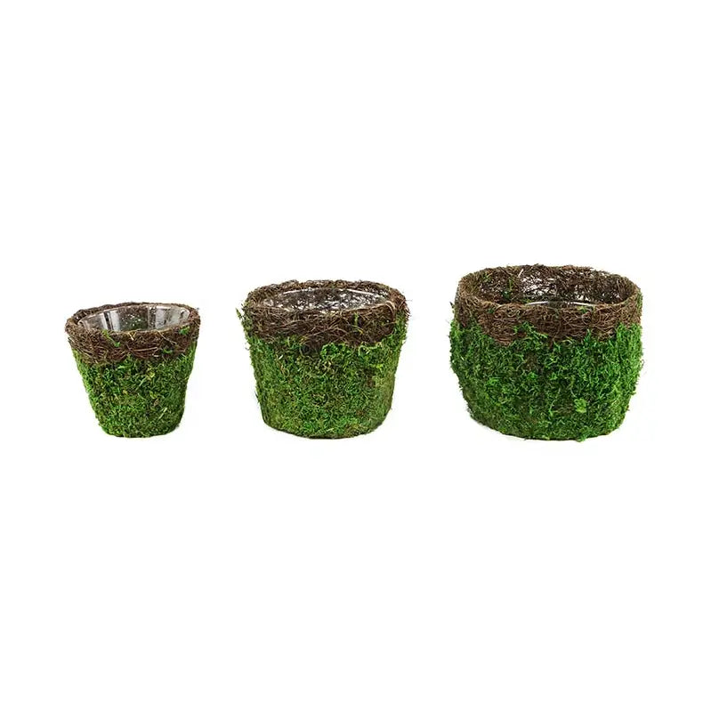 Moss Basket