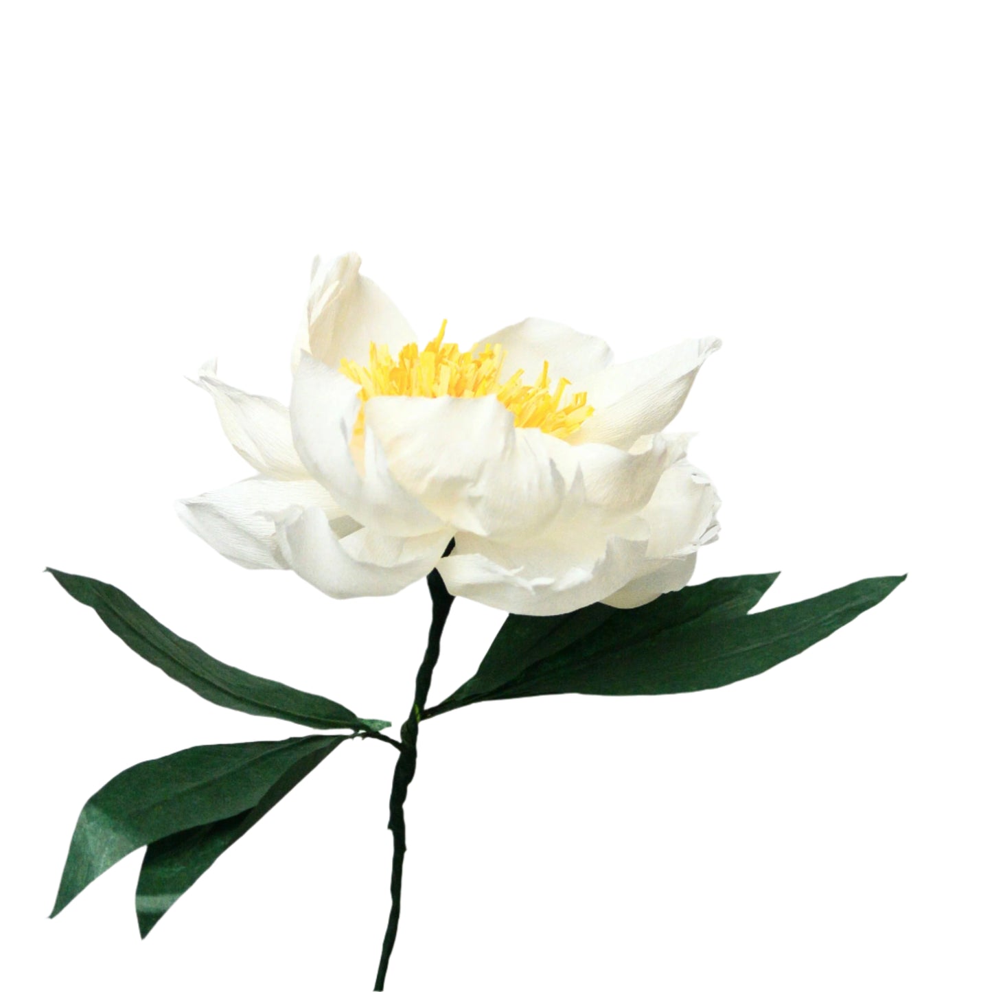 White paper flower with green leaves on a light gray background