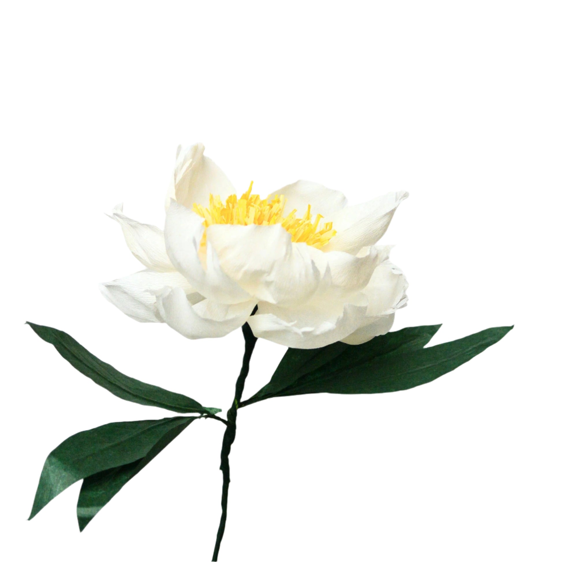 White paper flower with green leaves on a light gray background